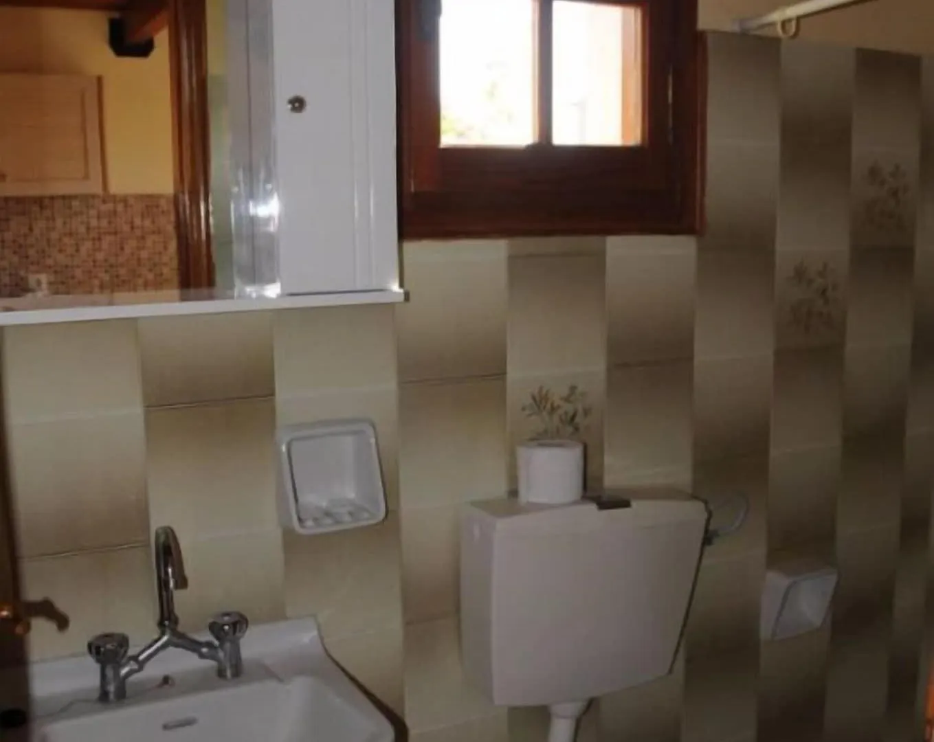Helena'S Studios Livathos  Greece
